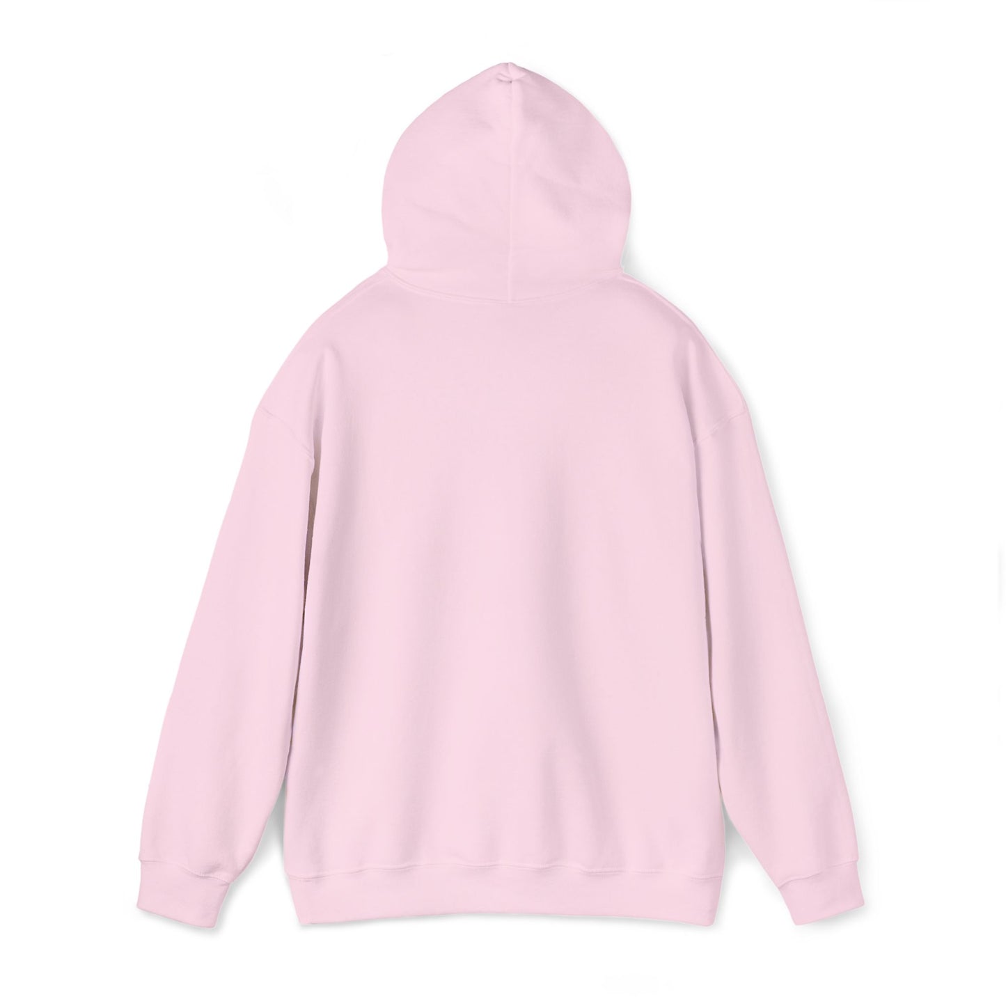 Dudesick Pink Hooded Sweatshirt