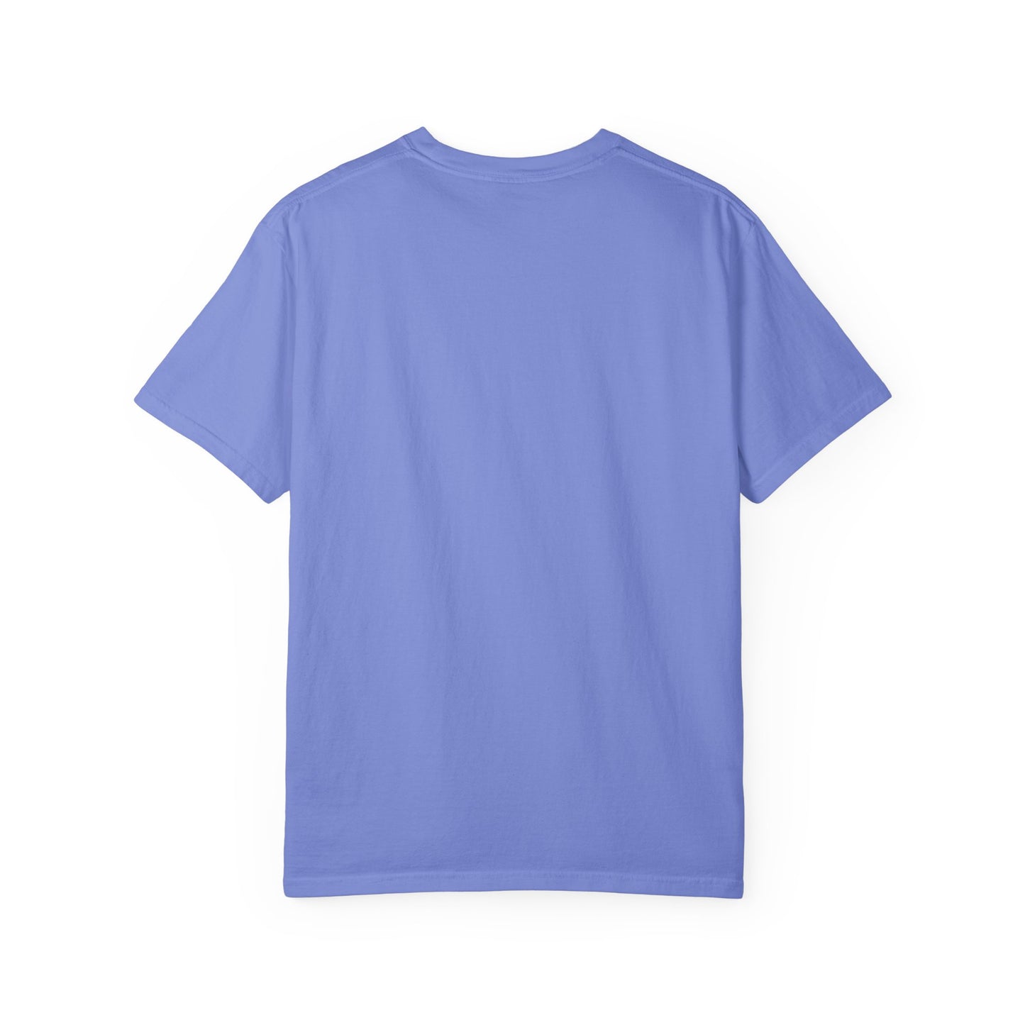 Dudesick Unisex Garment-Dyed T-Shirt - Stylish Casual Wear with Modern Graphic Design