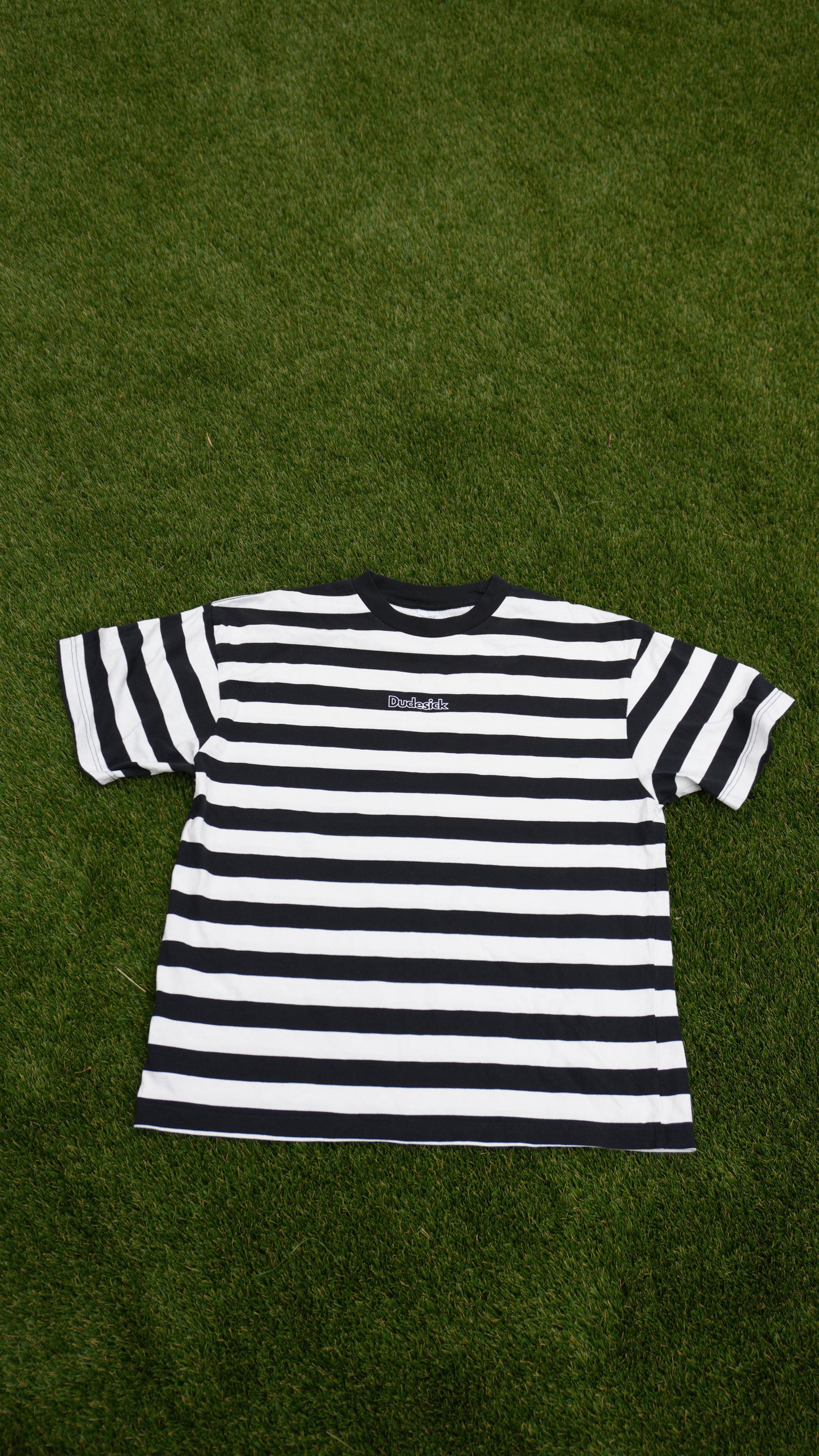 Dudesick Stripe Tee