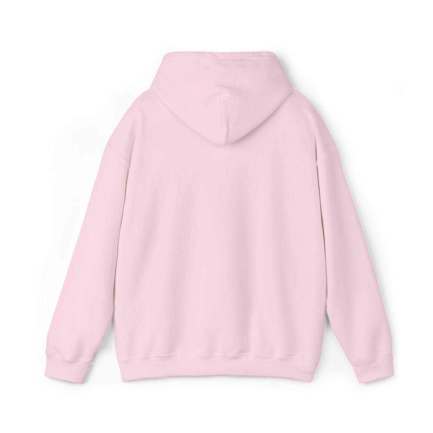 Dudesick Hooded Sweatshirt